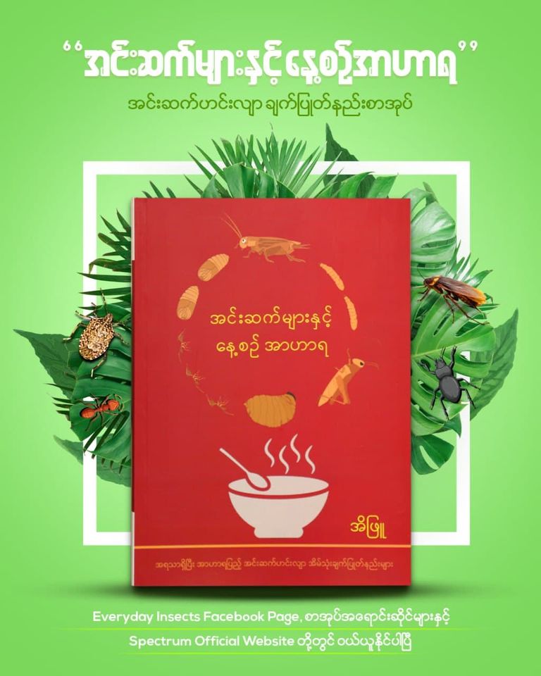 Insect Cookbook Everyday Insects Cook Book Ei Phyu Available in English & Burmese Sust ...