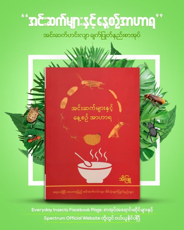 Everyday Insects Cook Book Ei Phyu Available in English & Burmese Sustainable Myanmar Author