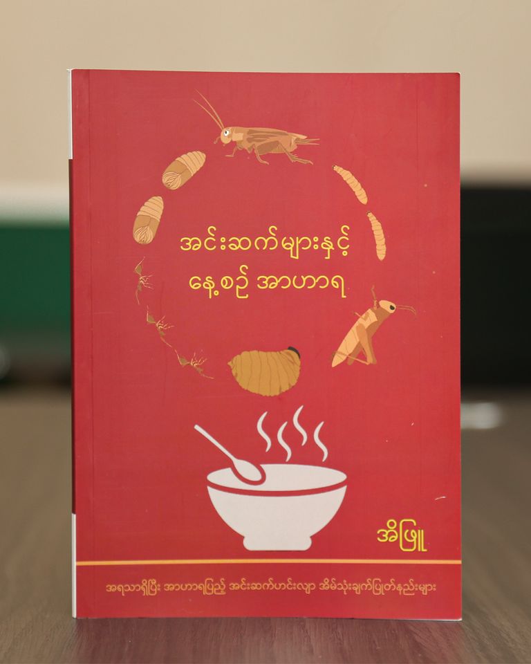 Everyday Insects Cook Book Ei Phyu Available in English & Burmese Sustainable Myanmar Author