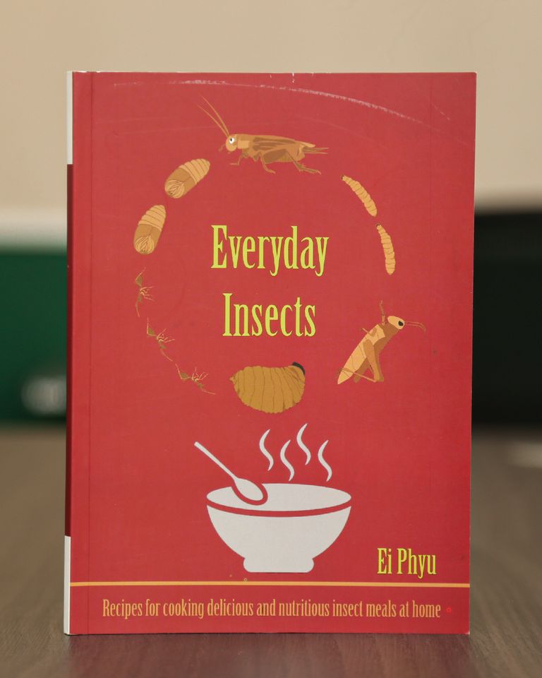 Everyday Insects Cook Book Ei Phyu Available in English & Burmese Sustainable Myanmar Author