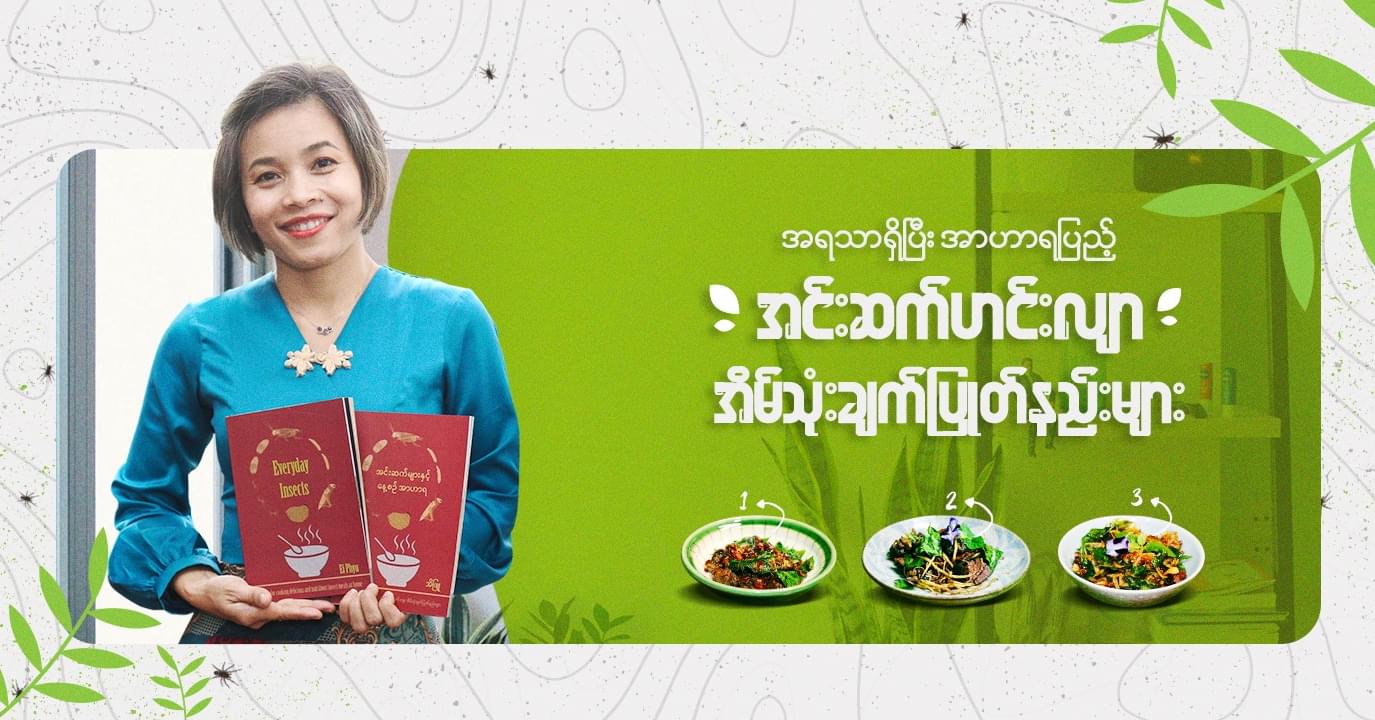 Everyday Insects Cook Book Ei Phyu Available in English & Burmese Sustainable Myanmar Author